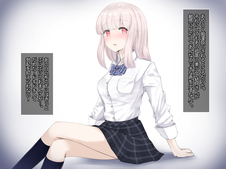 Bokki ni Kizuitara Sugu Nuite Kureru Bitch-domo ni Heya o Senryou Sareta Hanashi 2