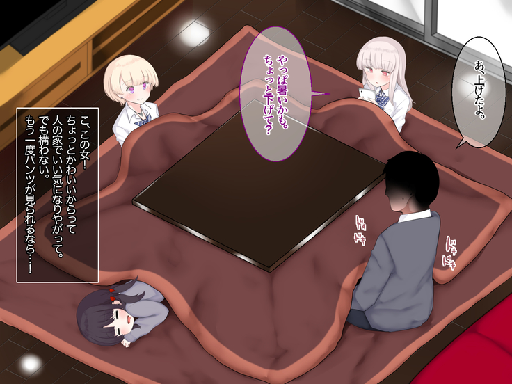 Bokki ni Kizuitara Sugu Nuite Kureru Bitch-domo ni Heya o Senryou Sareta Hanashi 2