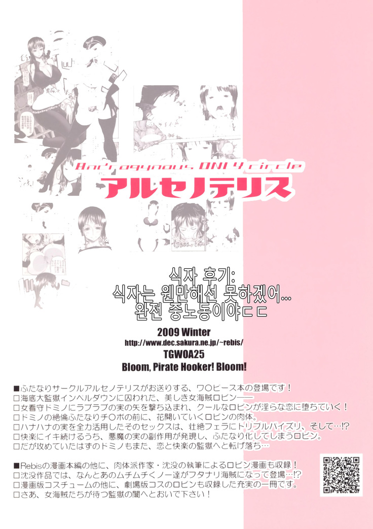 Midarezaki Joshuu Kaizoku