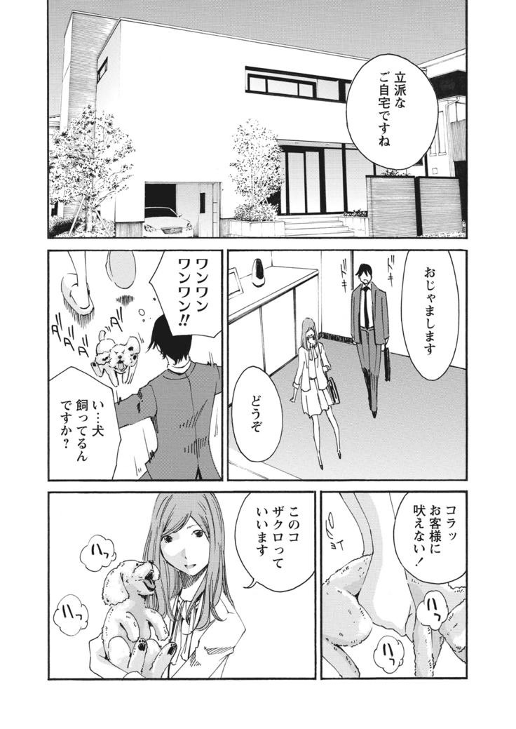 WEB Bazooka Vol.17