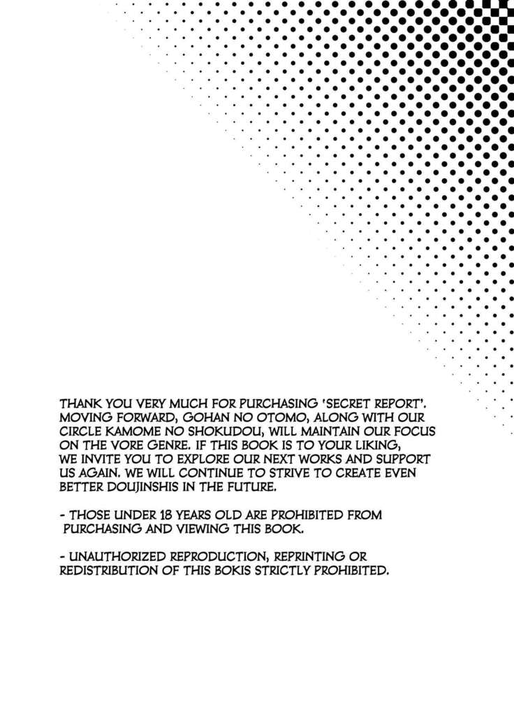 Secret report
