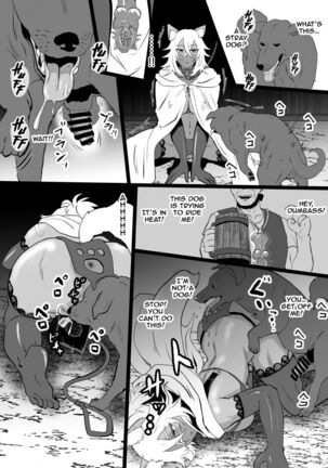 Jinkaku Haisetsu de Kuso Zako Touzoku ni Karada o Ubawareta Ue ni Benri ni Tsukawareta "Gouken no Jorou" Louise - Page 19