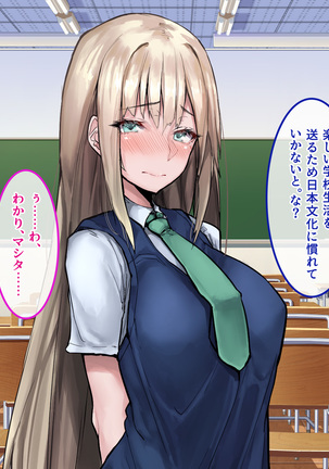 Muku na Kinpatsu Tenshi to Ecchi na Ibunka Kouryuu ~Sekinin Totte Kudasai ne~ Page #48