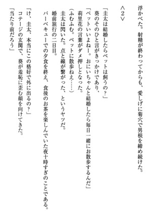 甘えんぼツンな生徒会長と巨乳小悪魔のW妹が俺を婿取りバトル中 - Page 264