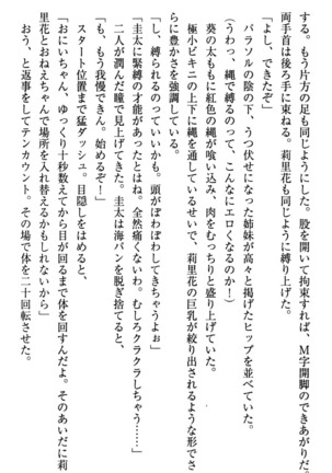 甘えんぼツンな生徒会長と巨乳小悪魔のW妹が俺を婿取りバトル中 - Page 244