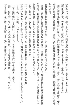 甘えんぼツンな生徒会長と巨乳小悪魔のW妹が俺を婿取りバトル中 - Page 272