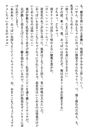 甘えんぼツンな生徒会長と巨乳小悪魔のW妹が俺を婿取りバトル中 - Page 117