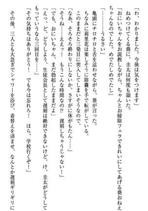 甘えんぼツンな生徒会長と巨乳小悪魔のW妹が俺を婿取りバトル中 - Page 152