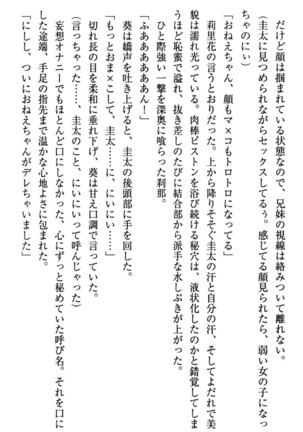 甘えんぼツンな生徒会長と巨乳小悪魔のW妹が俺を婿取りバトル中 - Page 96