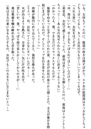 甘えんぼツンな生徒会長と巨乳小悪魔のW妹が俺を婿取りバトル中 - Page 257