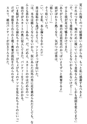 甘えんぼツンな生徒会長と巨乳小悪魔のW妹が俺を婿取りバトル中 - Page 30