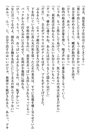 甘えんぼツンな生徒会長と巨乳小悪魔のW妹が俺を婿取りバトル中 - Page 309