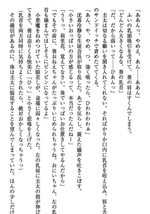 甘えんぼツンな生徒会長と巨乳小悪魔のW妹が俺を婿取りバトル中 - Page 85