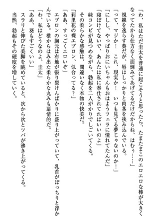 甘えんぼツンな生徒会長と巨乳小悪魔のW妹が俺を婿取りバトル中 - Page 139