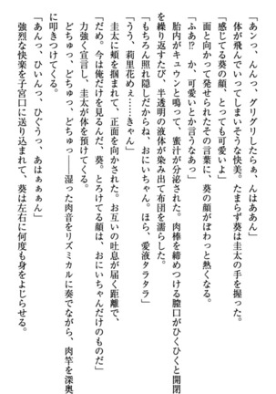 甘えんぼツンな生徒会長と巨乳小悪魔のW妹が俺を婿取りバトル中 - Page 95