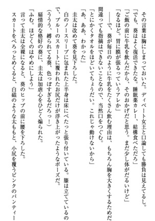 甘えんぼツンな生徒会長と巨乳小悪魔のW妹が俺を婿取りバトル中 - Page 177