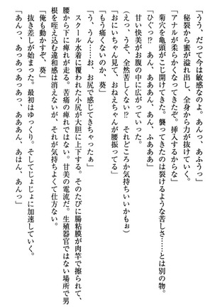 甘えんぼツンな生徒会長と巨乳小悪魔のW妹が俺を婿取りバトル中 - Page 260