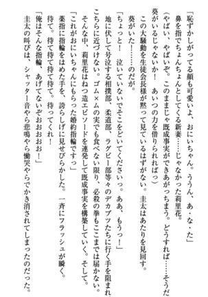 甘えんぼツンな生徒会長と巨乳小悪魔のW妹が俺を婿取りバトル中 - Page 48