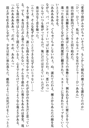 甘えんぼツンな生徒会長と巨乳小悪魔のW妹が俺を婿取りバトル中 - Page 32