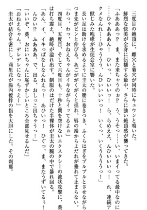 甘えんぼツンな生徒会長と巨乳小悪魔のW妹が俺を婿取りバトル中 - Page 300