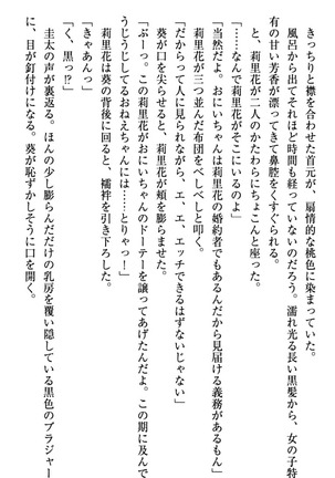 甘えんぼツンな生徒会長と巨乳小悪魔のW妹が俺を婿取りバトル中 - Page 79