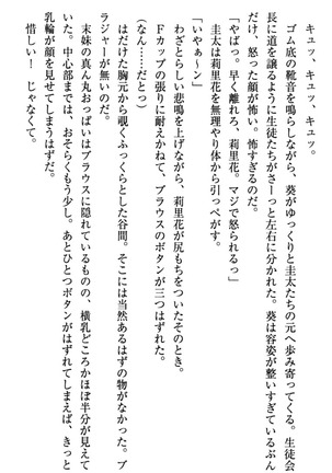 甘えんぼツンな生徒会長と巨乳小悪魔のW妹が俺を婿取りバトル中 - Page 24