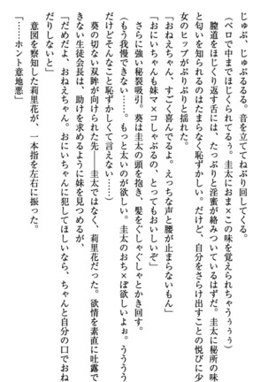 甘えんぼツンな生徒会長と巨乳小悪魔のW妹が俺を婿取りバトル中 - Page 89