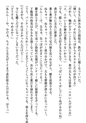 甘えんぼツンな生徒会長と巨乳小悪魔のW妹が俺を婿取りバトル中 - Page 165