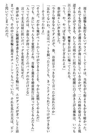 甘えんぼツンな生徒会長と巨乳小悪魔のW妹が俺を婿取りバトル中 - Page 266