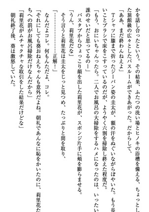 甘えんぼツンな生徒会長と巨乳小悪魔のW妹が俺を婿取りバトル中 - Page 213