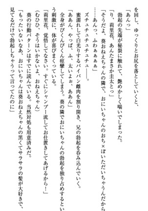 甘えんぼツンな生徒会長と巨乳小悪魔のW妹が俺を婿取りバトル中 - Page 225