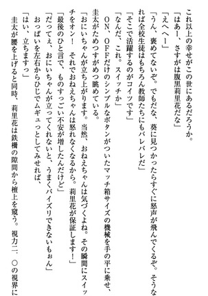 甘えんぼツンな生徒会長と巨乳小悪魔のW妹が俺を婿取りバトル中 - Page 202