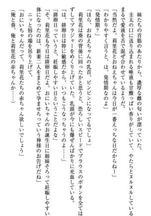 甘えんぼツンな生徒会長と巨乳小悪魔のW妹が俺を婿取りバトル中 - Page 289