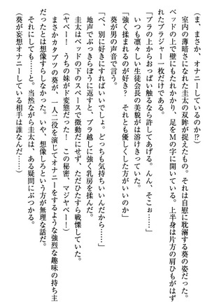 甘えんぼツンな生徒会長と巨乳小悪魔のW妹が俺を婿取りバトル中 - Page 56