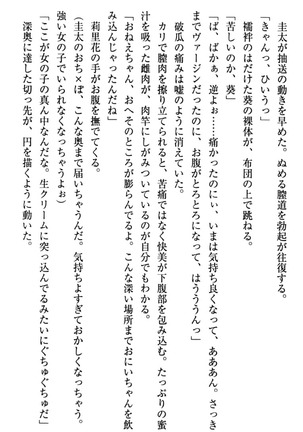 甘えんぼツンな生徒会長と巨乳小悪魔のW妹が俺を婿取りバトル中 - Page 94