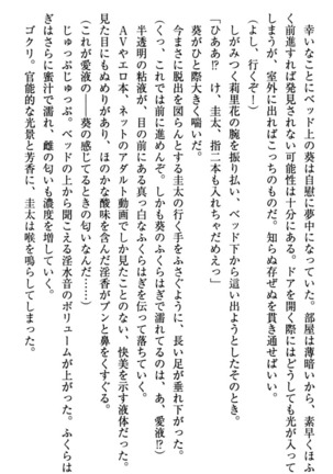 甘えんぼツンな生徒会長と巨乳小悪魔のW妹が俺を婿取りバトル中 - Page 62