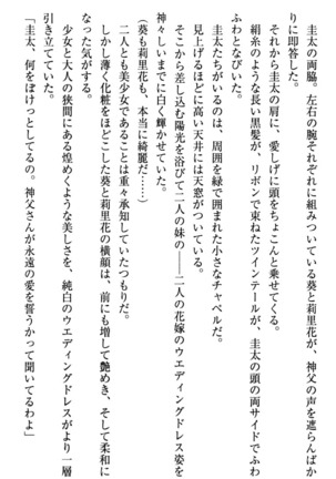 甘えんぼツンな生徒会長と巨乳小悪魔のW妹が俺を婿取りバトル中 - Page 324