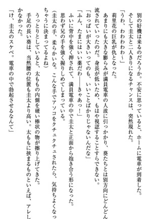 甘えんぼツンな生徒会長と巨乳小悪魔のW妹が俺を婿取りバトル中 - Page 161