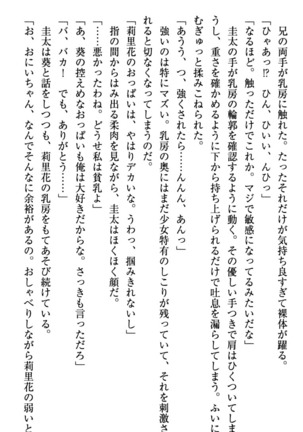 甘えんぼツンな生徒会長と巨乳小悪魔のW妹が俺を婿取りバトル中 - Page 107