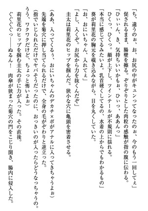 甘えんぼツンな生徒会長と巨乳小悪魔のW妹が俺を婿取りバトル中 - Page 249