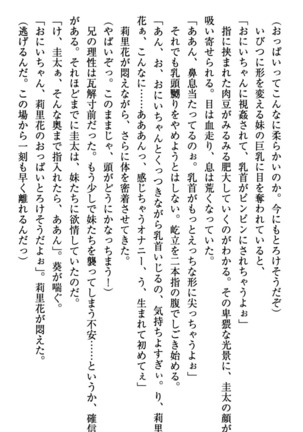 甘えんぼツンな生徒会長と巨乳小悪魔のW妹が俺を婿取りバトル中 - Page 61