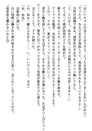 甘えんぼツンな生徒会長と巨乳小悪魔のW妹が俺を婿取りバトル中 - Page 222