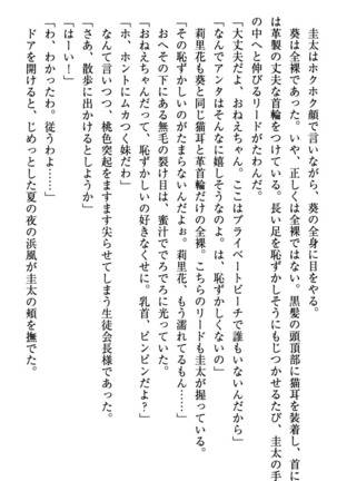 甘えんぼツンな生徒会長と巨乳小悪魔のW妹が俺を婿取りバトル中 - Page 265