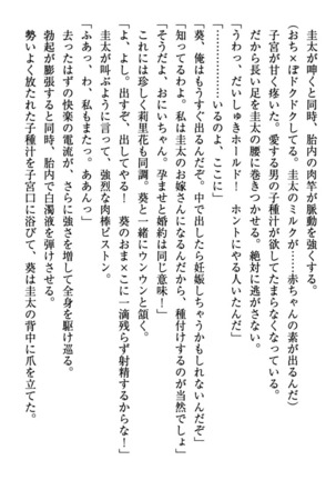 甘えんぼツンな生徒会長と巨乳小悪魔のW妹が俺を婿取りバトル中 - Page 101