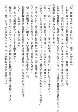 甘えんぼツンな生徒会長と巨乳小悪魔のW妹が俺を婿取りバトル中 - Page 142