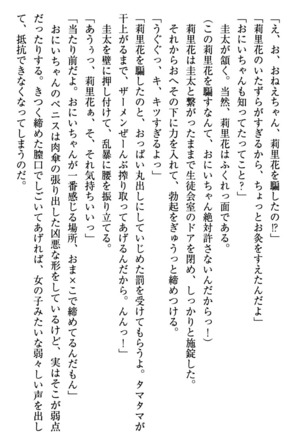 甘えんぼツンな生徒会長と巨乳小悪魔のW妹が俺を婿取りバトル中 - Page 313