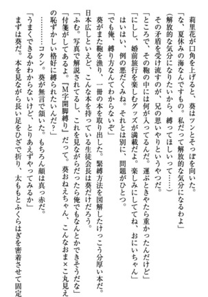 甘えんぼツンな生徒会長と巨乳小悪魔のW妹が俺を婿取りバトル中 - Page 243