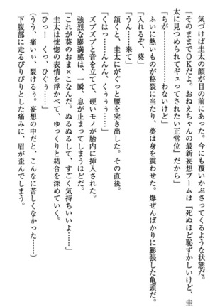 甘えんぼツンな生徒会長と巨乳小悪魔のW妹が俺を婿取りバトル中 - Page 92