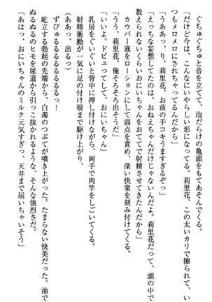 甘えんぼツンな生徒会長と巨乳小悪魔のW妹が俺を婿取りバトル中 - Page 220