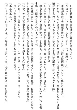 甘えんぼツンな生徒会長と巨乳小悪魔のW妹が俺を婿取りバトル中 - Page 258